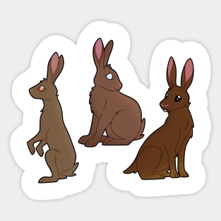 Three Jackrabbit Sticker